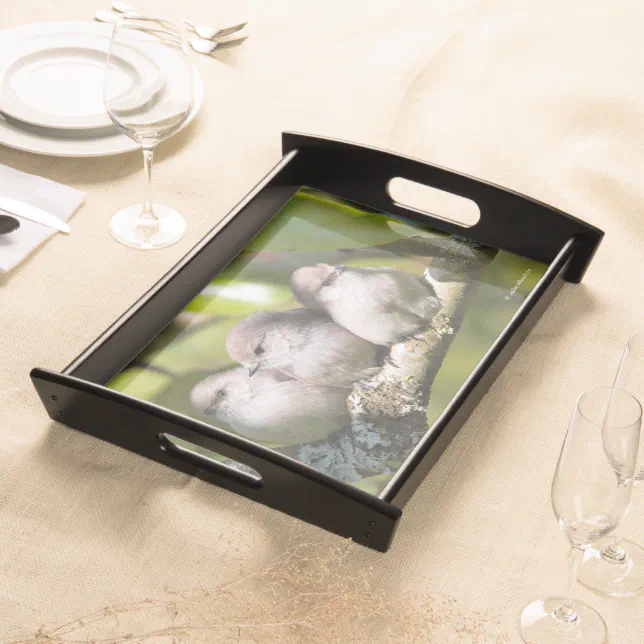 Cute Baby Bushtit Songbirds in the Pear Tree Serving Tray