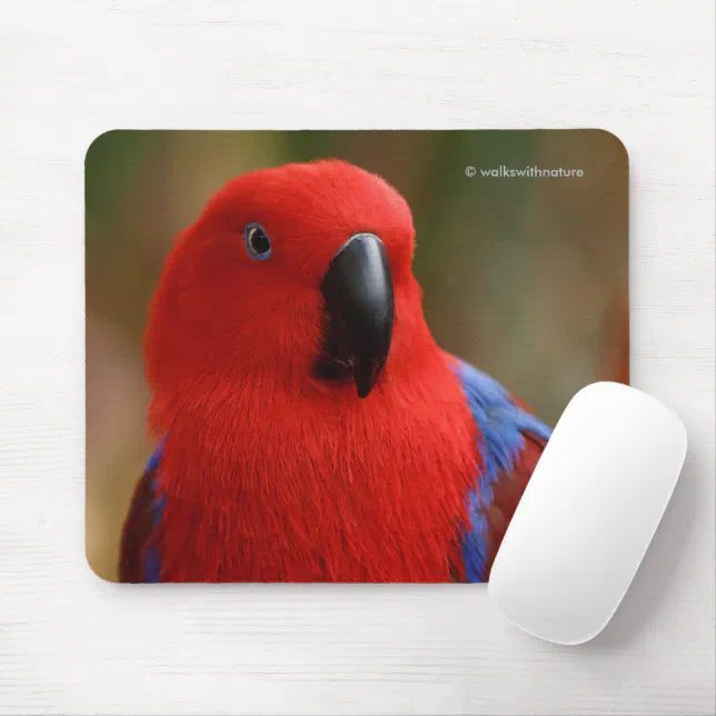 Beautiful "Lady in Red" Eclectus Parrot Mouse Pad