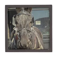 Amish Buggy Horse Keepsake Box