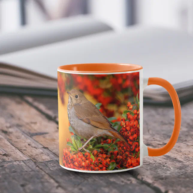 Hermit Thrush Songbird on Scarlet Firethorn Mug