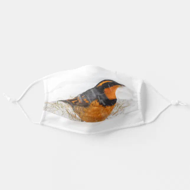 Stunning Varied Thrush Songbird in the Snow Adult Cloth Face Mask