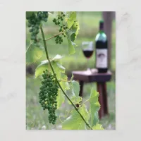 Kentucky Grapes Postcard