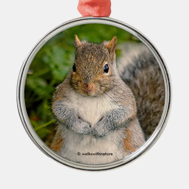 Saucy Cute Squirrel Could You Spare a Peanut? Metal Ornament