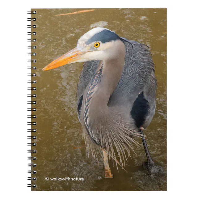 A Top-Down View of a Blue Heron Notebook