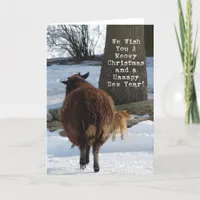 Black Sheep and Cat, Christmas Fun Holiday Card