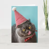 Cat Birthday Humor Card