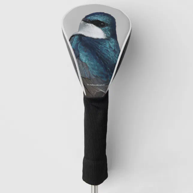 Handsome Tree Swallow Songbird on a Wire Golf Head Cover