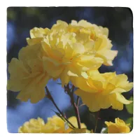 Golden Yellow Flowers Pretty Roses Photo Trivet