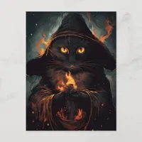 Magic Cat Postcard