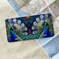 Gorgeous peacock with teal and gold plumage license plate