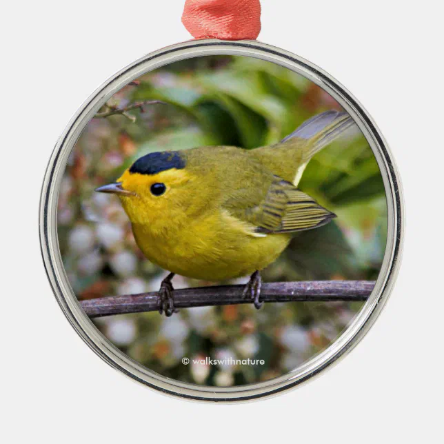 Cute Wilson's Warbler Songbird on the Grapevine Metal Ornament