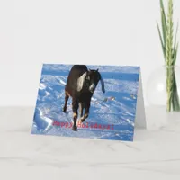 Happy Holidays Nubian Goat Holiday Card