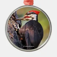 Beautiful Pileated Woodpecker on the Tree Metal Ornament