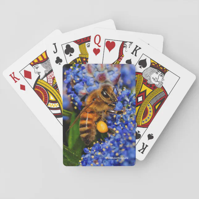 Stunning Honeybee on the California Lilac Shrub Poker Cards