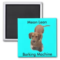 Cute Brown Dachshund Barking Machine Magnet