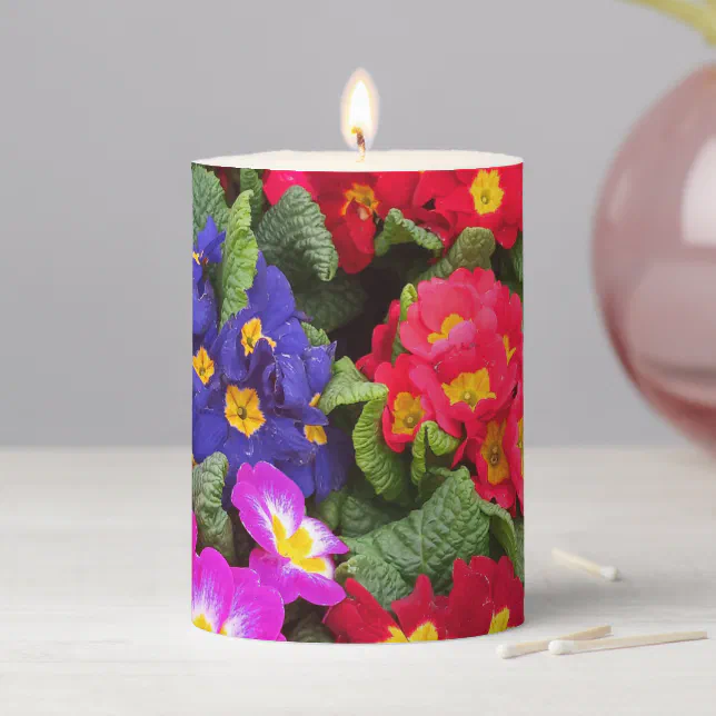 Colorful Springtime Medley of Primulas Pillar Candle