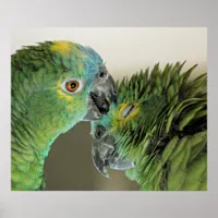 Love forever - cute parrots poster