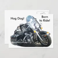 Motorcycle Hog Dog Born To Ride Russell Terrier Postcard