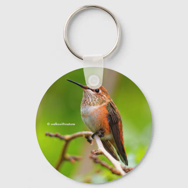 Female Rufous Hummingbird on the Plum Tree Keychain