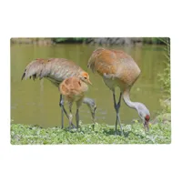 Sandhill Crane Parents and Chick Placemat