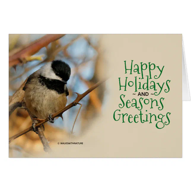 Cute Black-Capped Chickadee Songbird Christmas