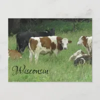 Thumbnail for Wisconsin Postcard with photo of Cow in Pasture