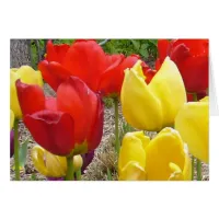 Tulips at the Garden Card