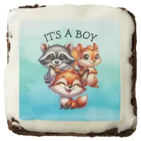 It's a Boy | Woodland Creatures Baby Shower Brownie