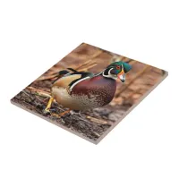 Beautiful Male Wood Duck in the Woods Ceramic Tile