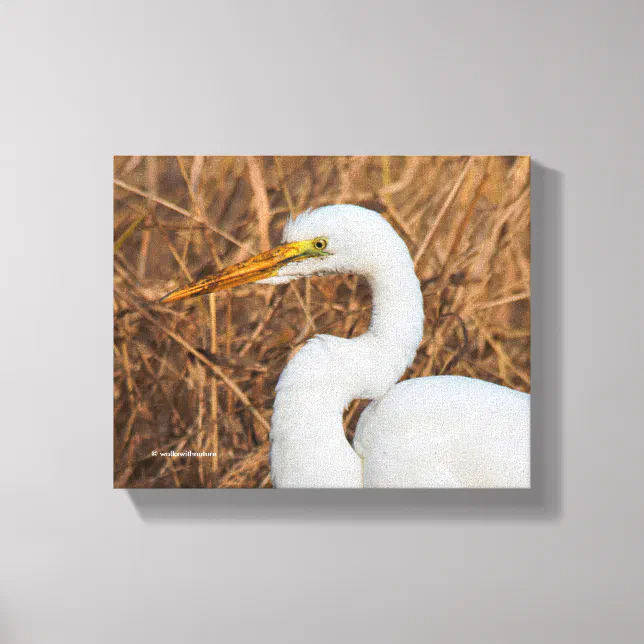 Elegant Great Egret in the Reeds Canvas Print
