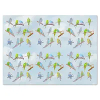 Lots of colorful parakeets - cute little birds tissue paper