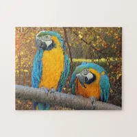 Cheeky macaws - cute parrot  jigsaw puzzle