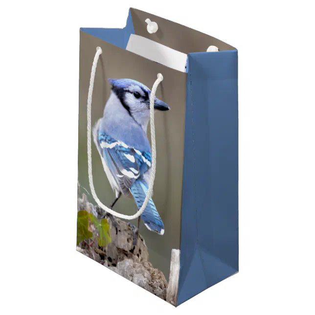 Cute Blue Jay Songbird on Treestump Small Gift Bag