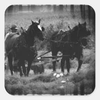 Amish Horses in Hay Field Working Square Sticker