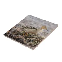 Profile of a Buff-Breasted Sandpiper at the Beach Ceramic Tile