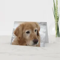 Golden Retreiver Holiday Card