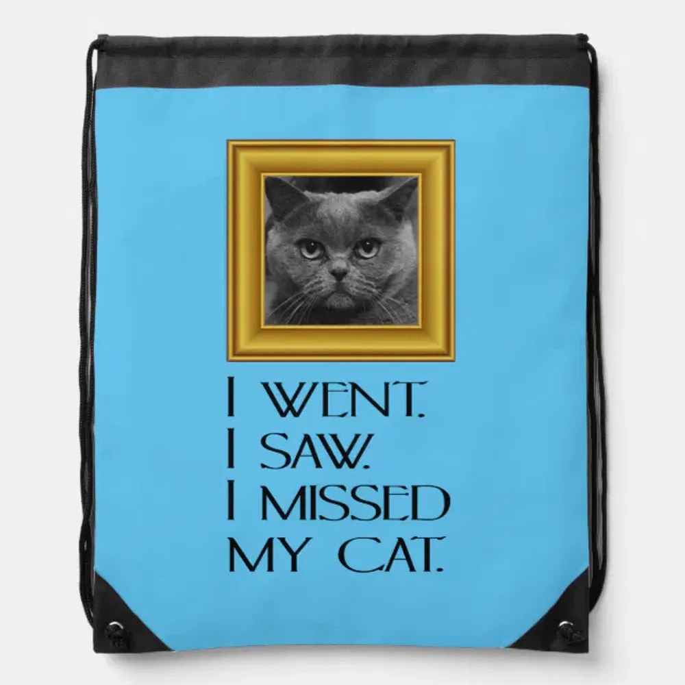 I Went, Saw, Missed My Cat Funny Quote