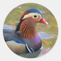Beautiful Mandarin Duck in the Pond Classic Round Sticker