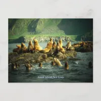 Amak Island Sea Lions Postcard