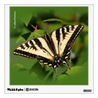Beautiful Western Tiger Swallowtail Butterfly Wall Sticker