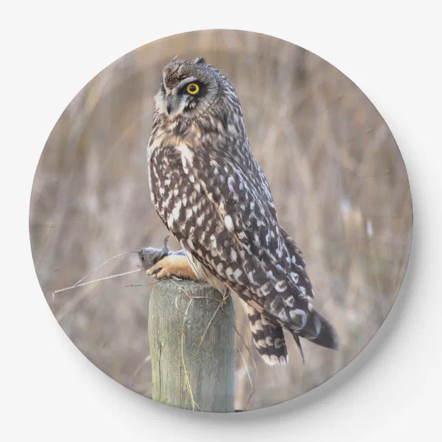 Short-Eared Owl with Vole in the Marshes Paper Plates