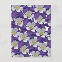 Columbine Purple and White Flower Pattern Postcard