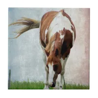 Flashy Paint Horse Mare Tile