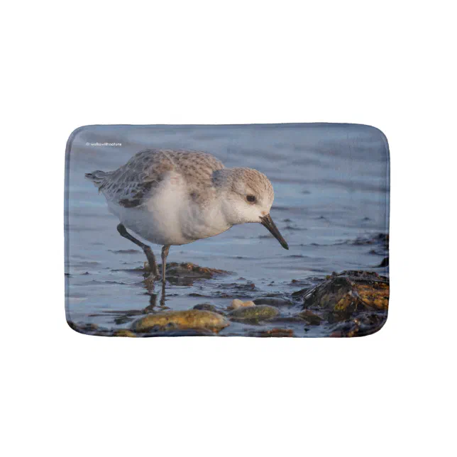 A Strolling Sanderling Bath Mat