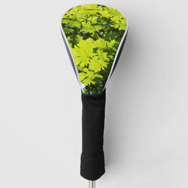 Sun-Dappled Leaves in the Forest Golf Head Cover