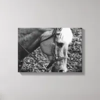 Western Palomino Horse in Sepia Canvas Print