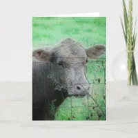 Moo!  How ya doing? Card