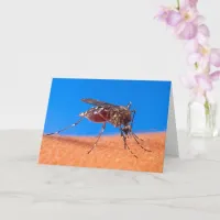 Biting Mosquito Photo Quote Old Age Birthday Card