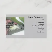 Sugar Glider Sleeping in Blanket Business Card