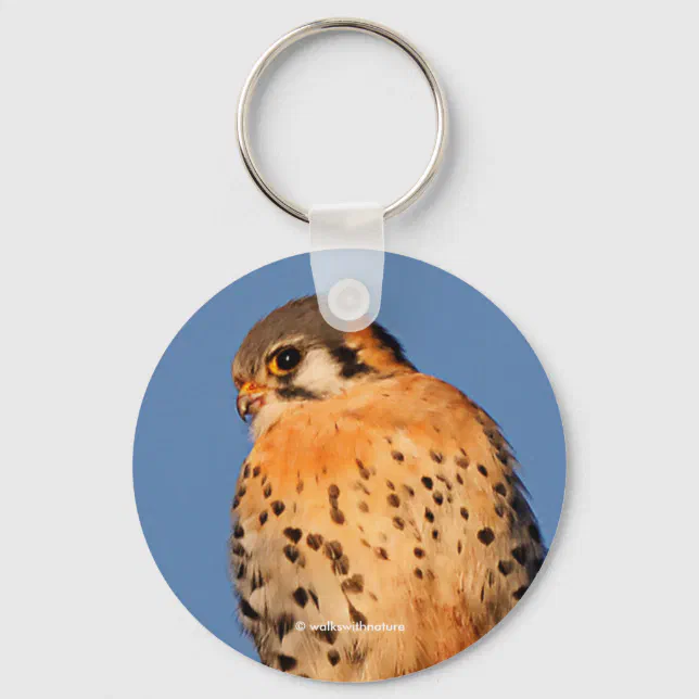 American Kestrel Hawk on a Wire Keychain